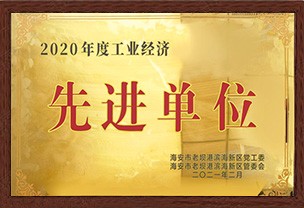 2020工業(yè)經濟先進單位